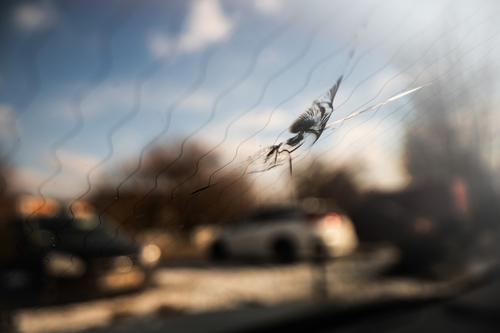 car door glass repair vs replacement